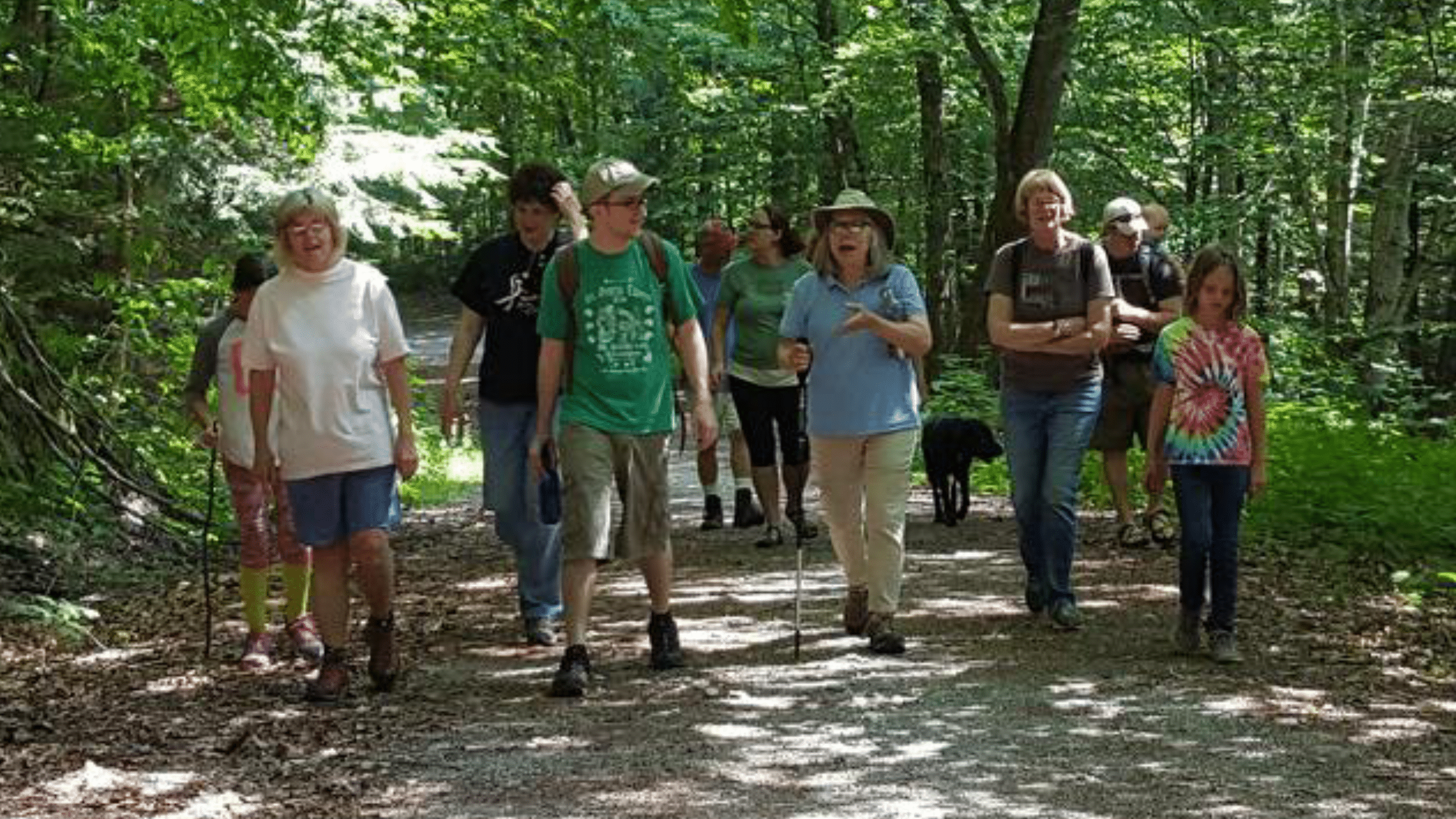Plant Walk
