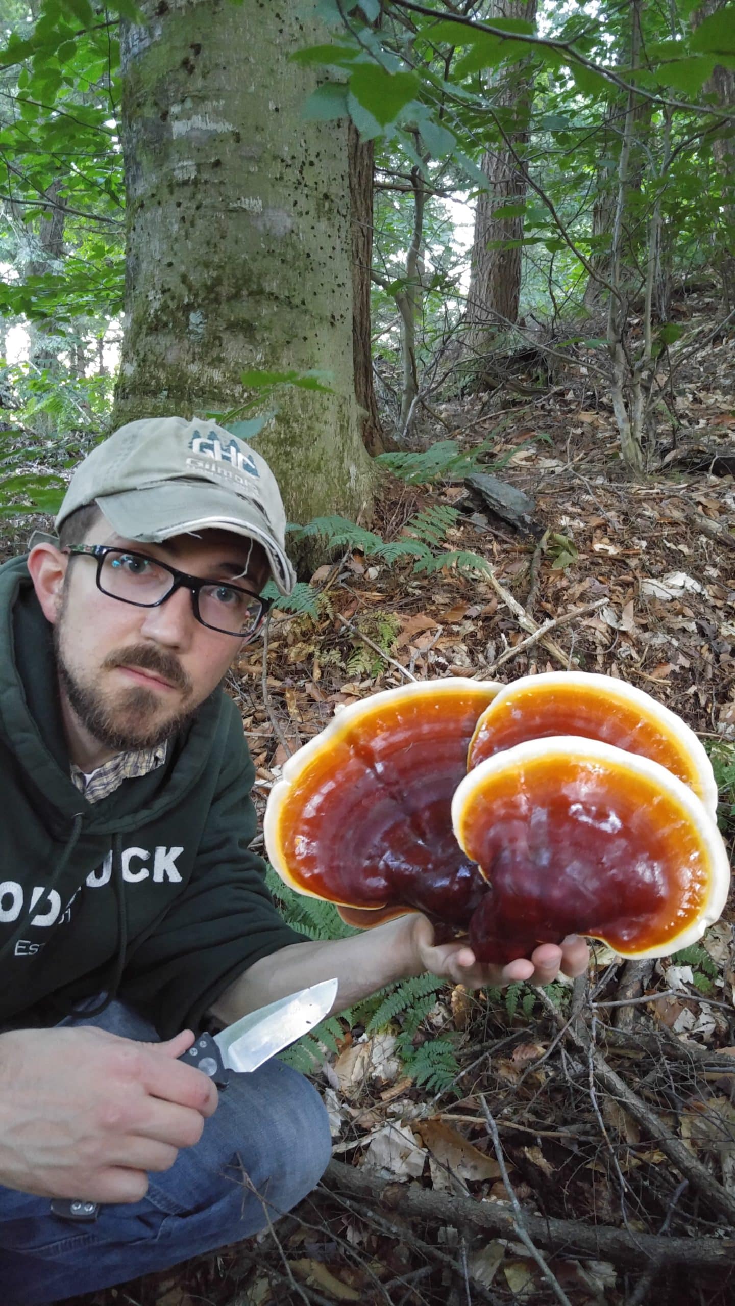 Vermont Reishi Dual Extraction 2oz. - Image 3