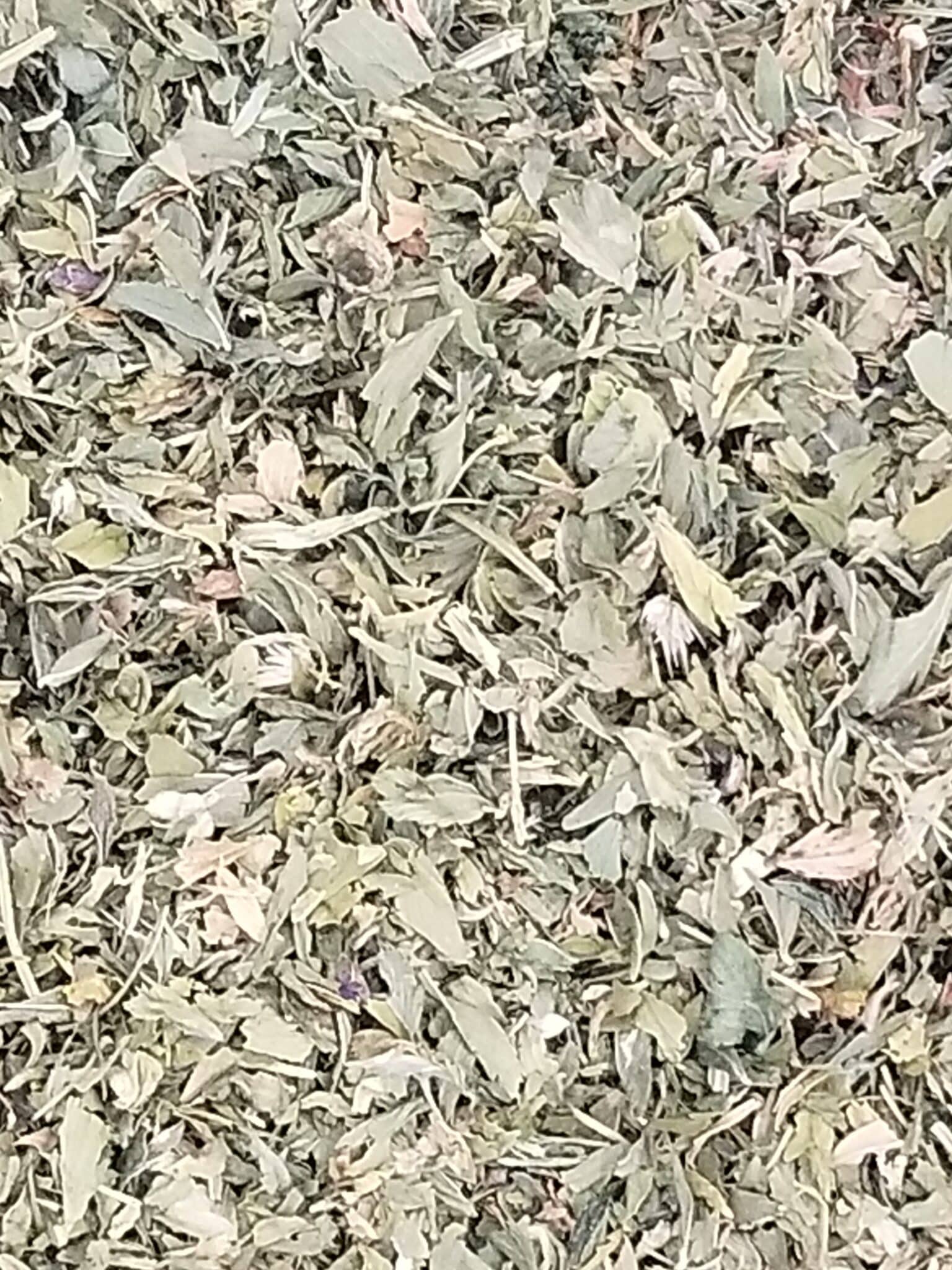 Alfalfa