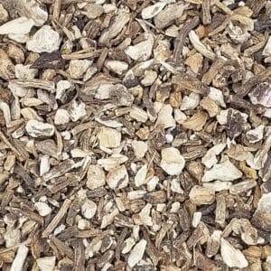 Angelica Root