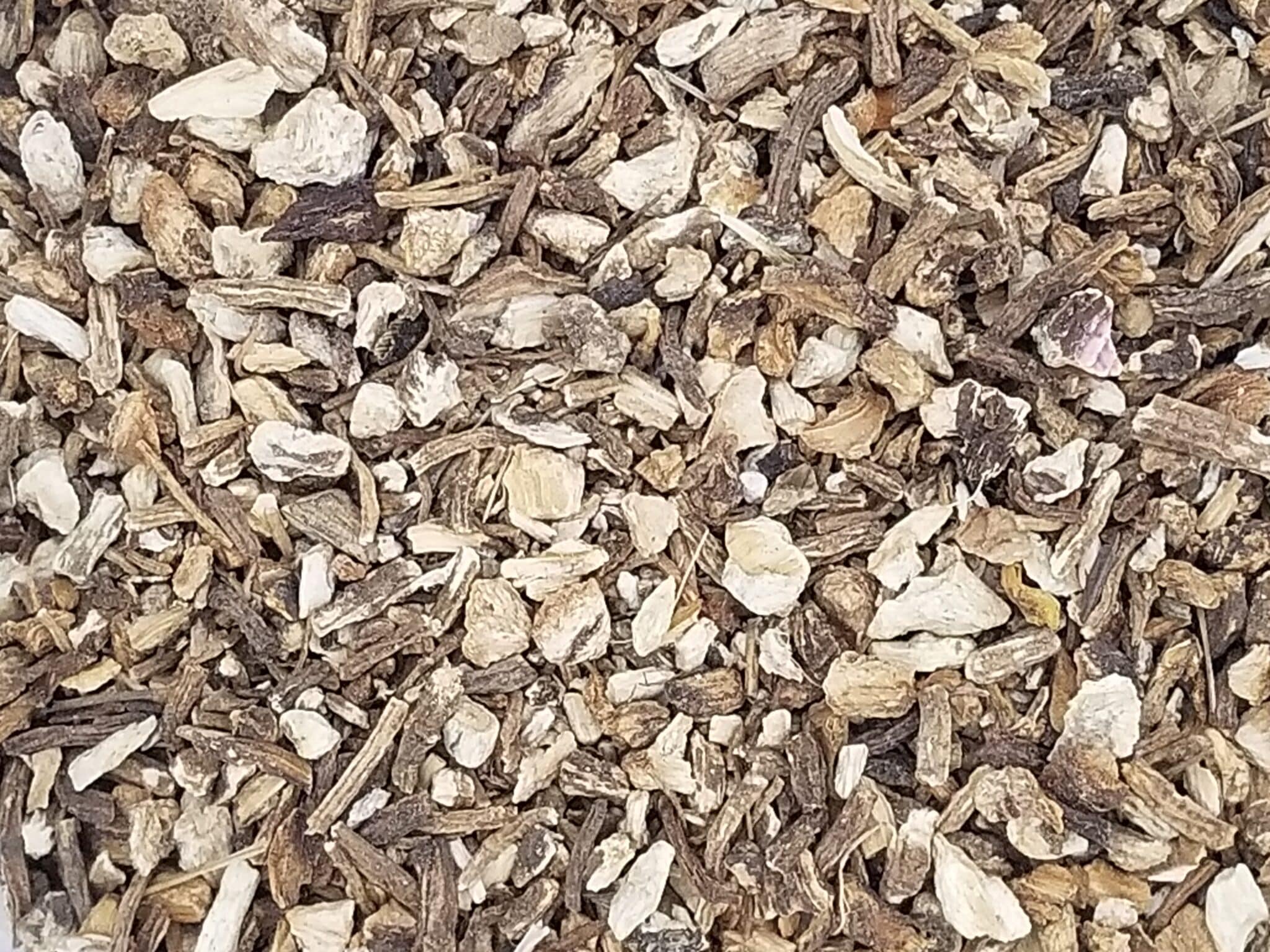 Angelica Root