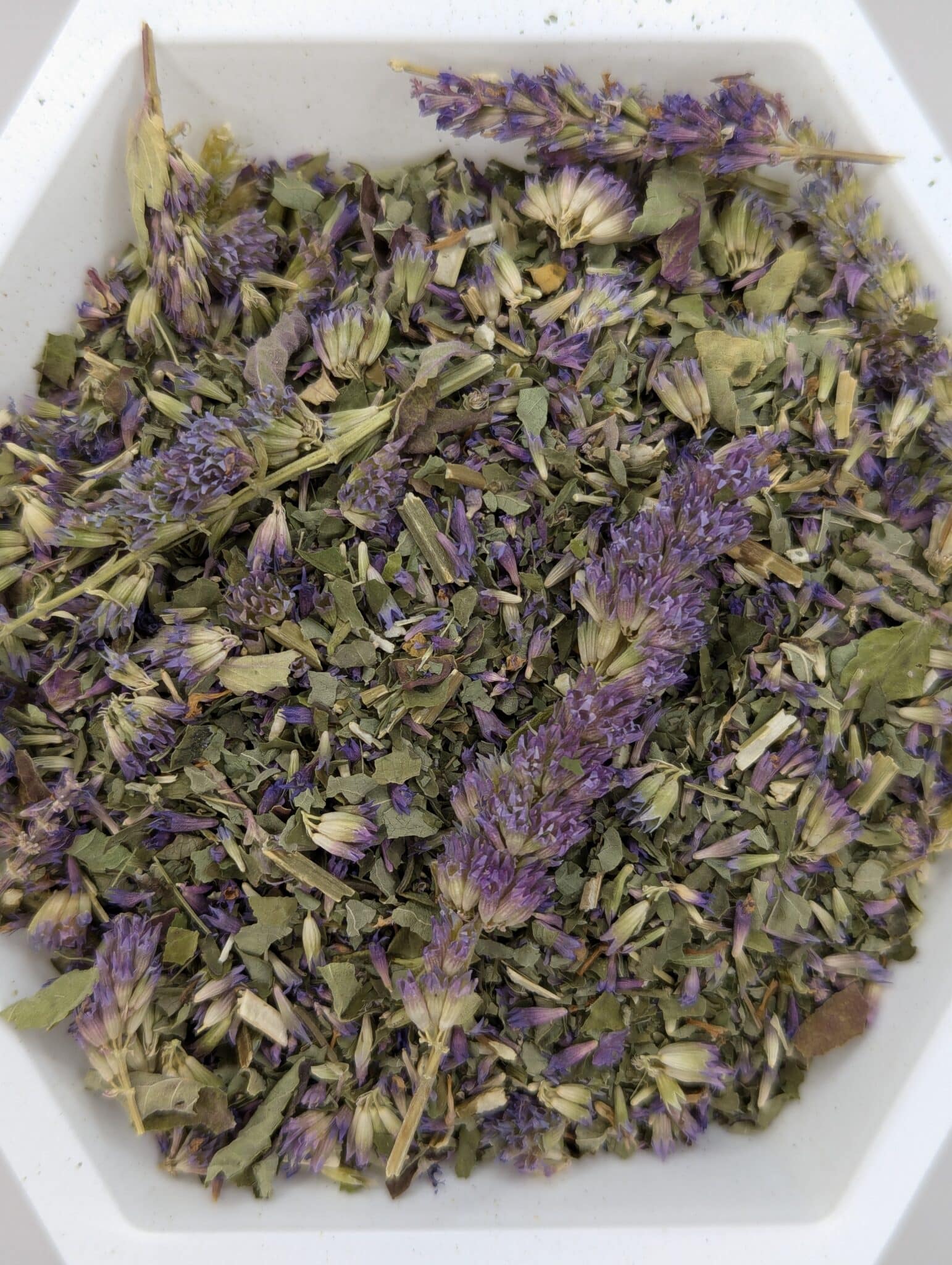 Anise Hyssop