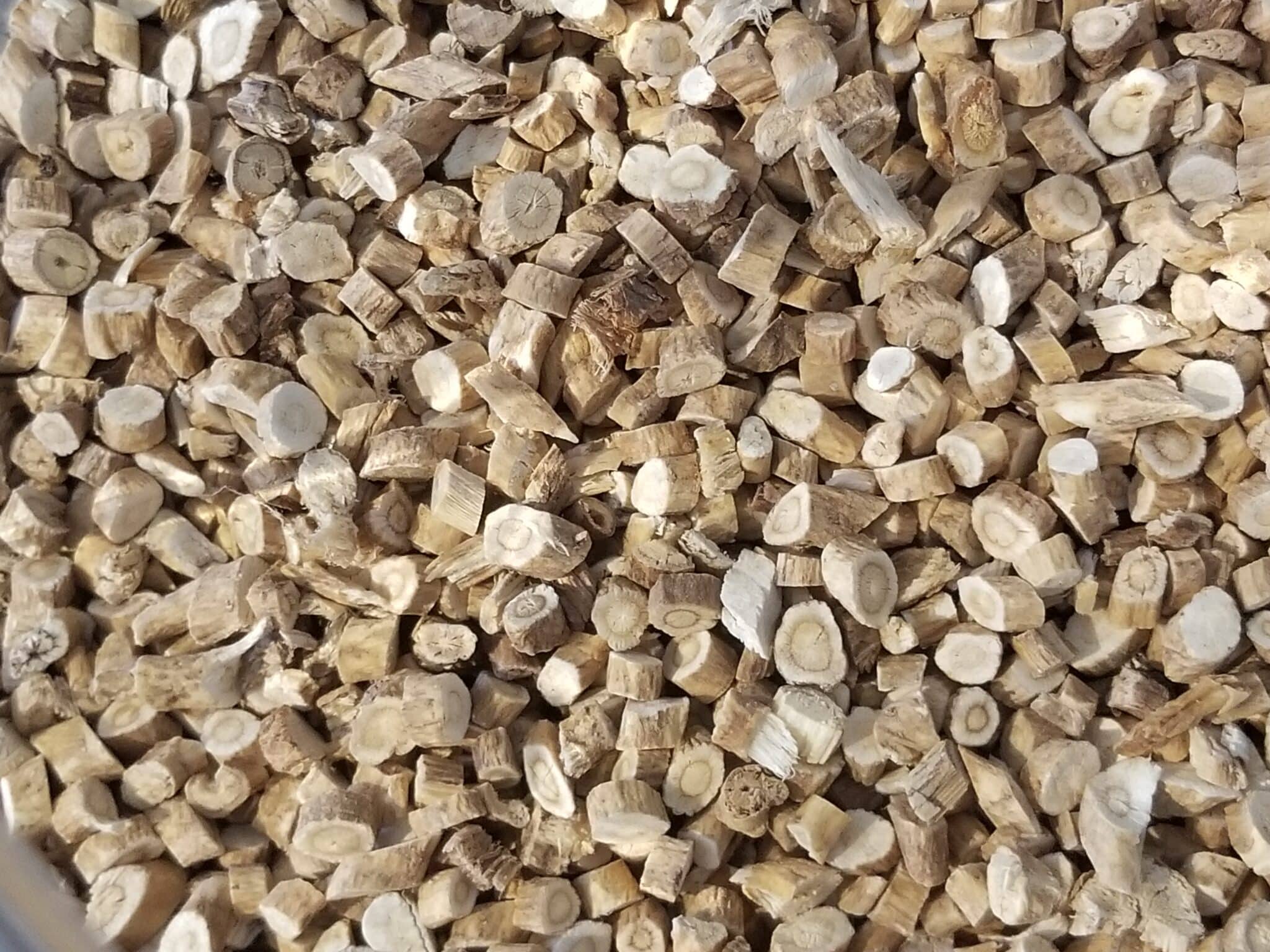 astragalus root