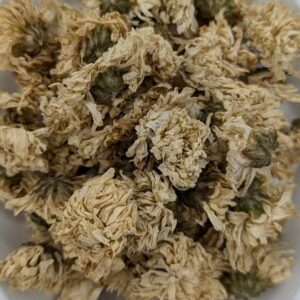 Chrysanthemum Flower