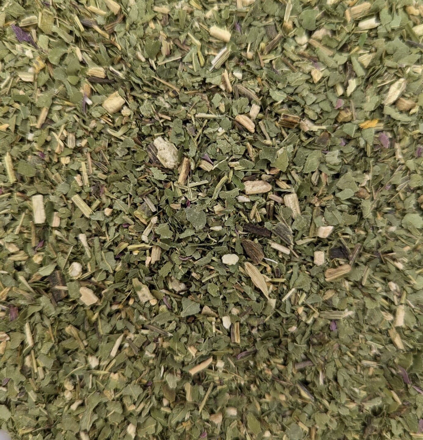 Echinacea Leaf