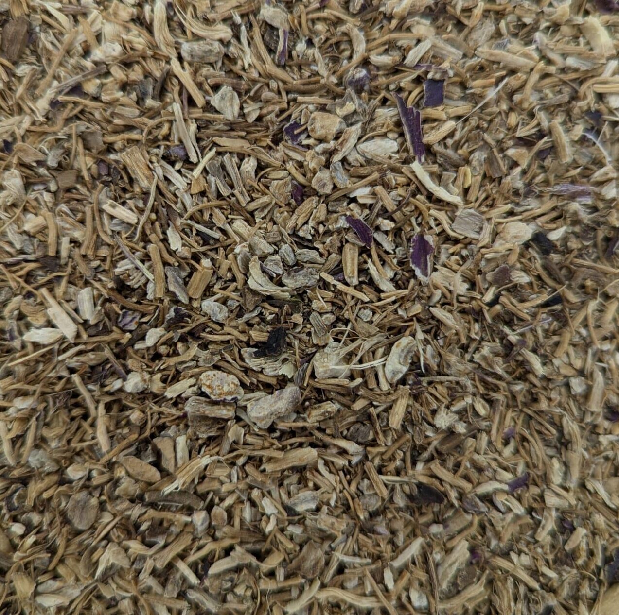 Echinacea Root