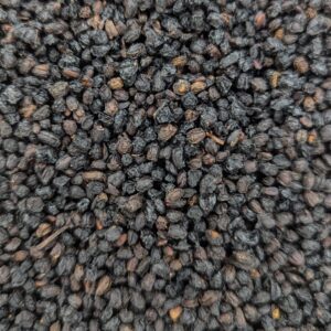 Elderberries