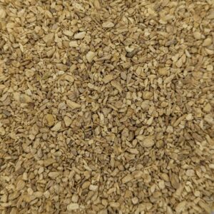 Ginger Root