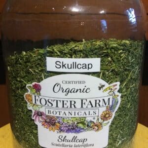 Skullcap herb, Vermont Grown Organic, 1oz. bag