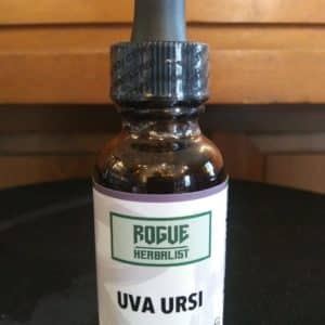 Uva Ursi Tincture 1oz.