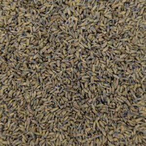 Lavender, Organic, 1oz. bag