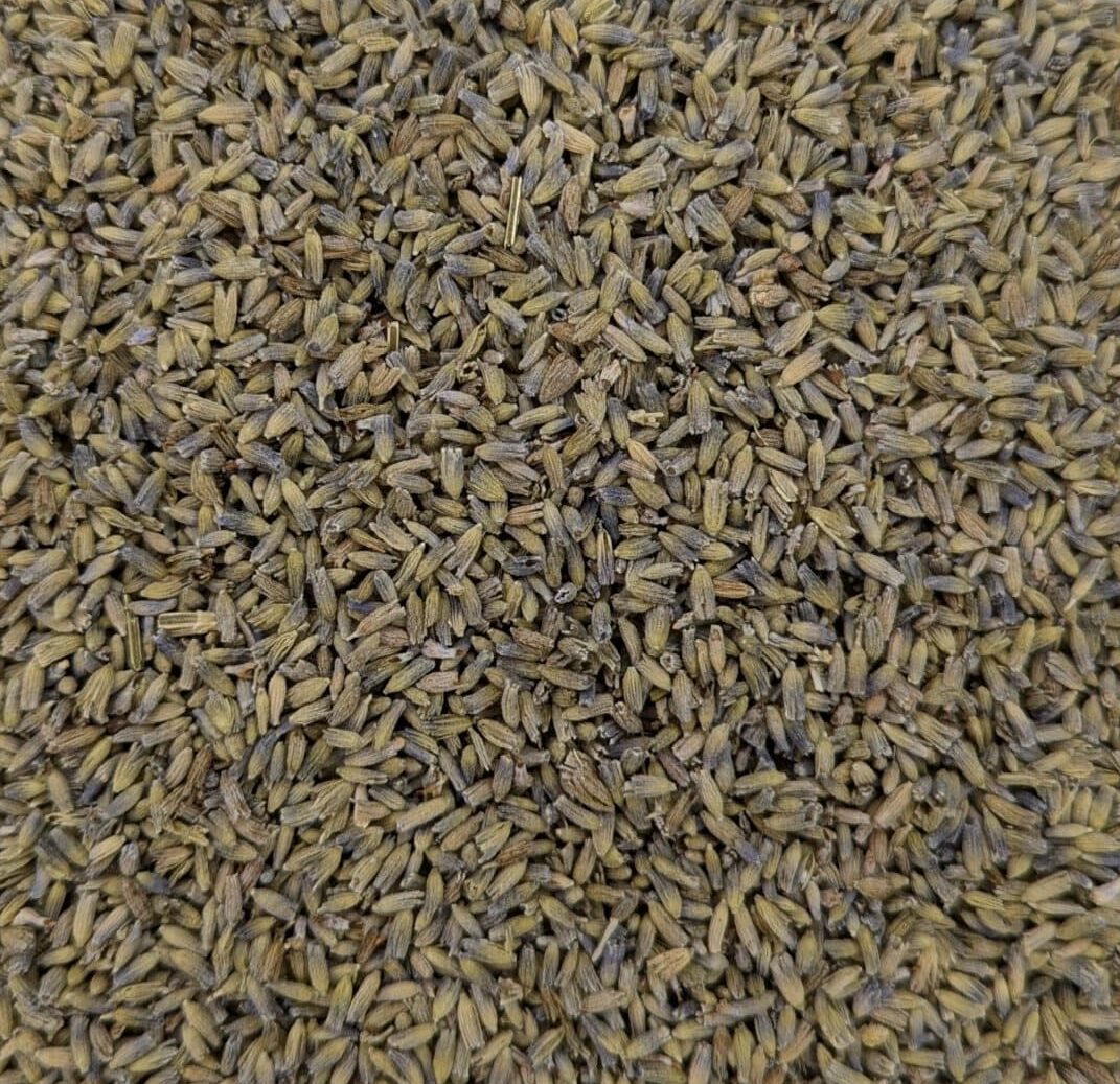 Lavender, Organic, 1oz. bag
