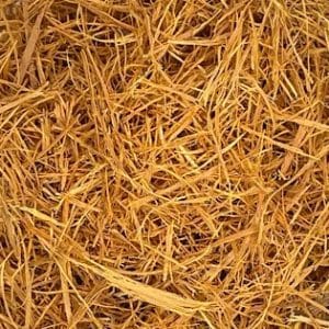 Cat's Claw Bark, Wildcrafted, 1oz. bag