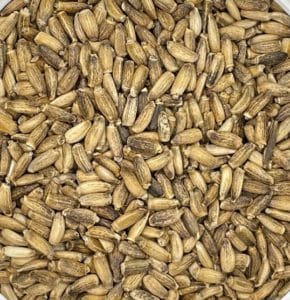 Milk Thistle Seeds