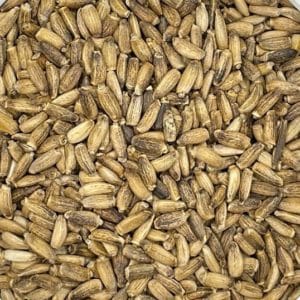 Milk Thistle Seeds