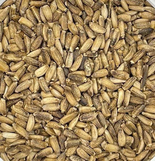 Milk Thistle Seeds