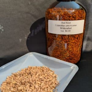 Red Root, Wildcrafted, 1oz. bag
