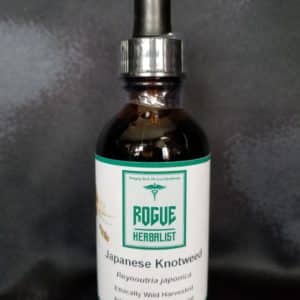 Japanese Knotweed Tincture 2oz.