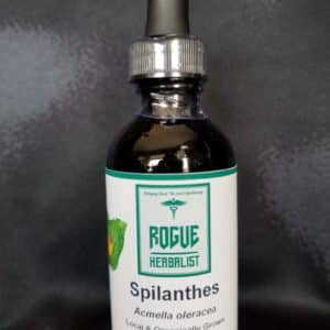 Spilanthes Tincture 2oz.