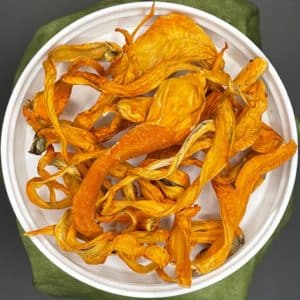 Cordyceps