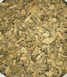Ginkgo leaf