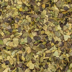 Guayusa leaves