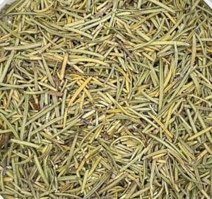 Rosemary