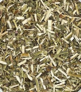 Wood Betony