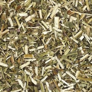 Wood Betony