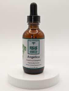 Angelica 2oz. tincture