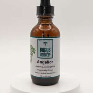 Angelica 2oz. tincture