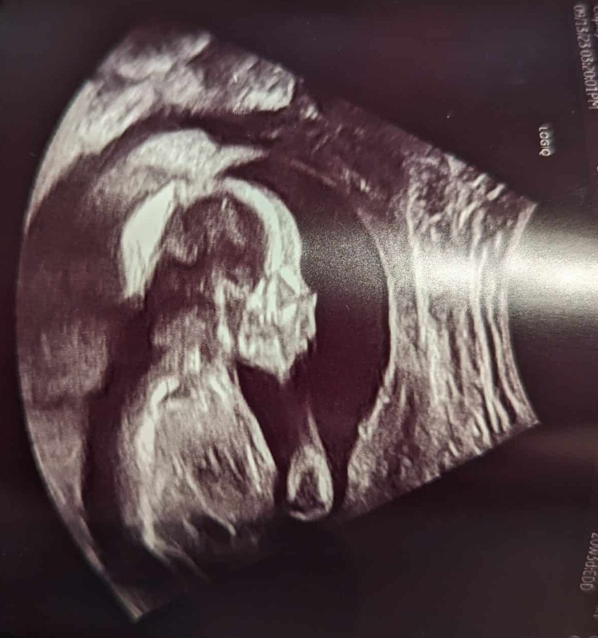 Baby Riff