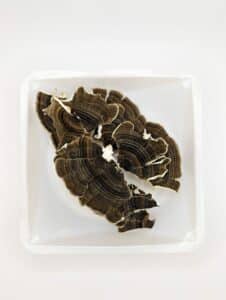 Organic Turkey Tail Mushrooms, 1 oz bulk