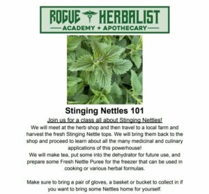 Nettles 101