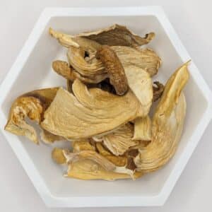 Oyster Mushroom Medley 1 oz bag