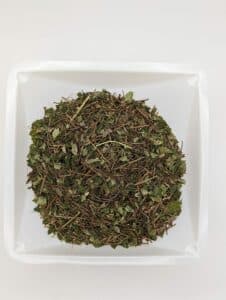 Partridgeberry