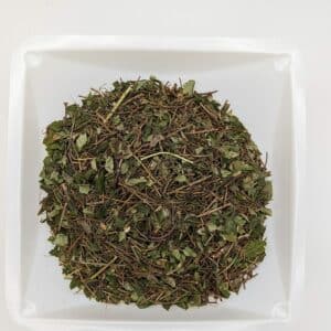 Partridgeberry