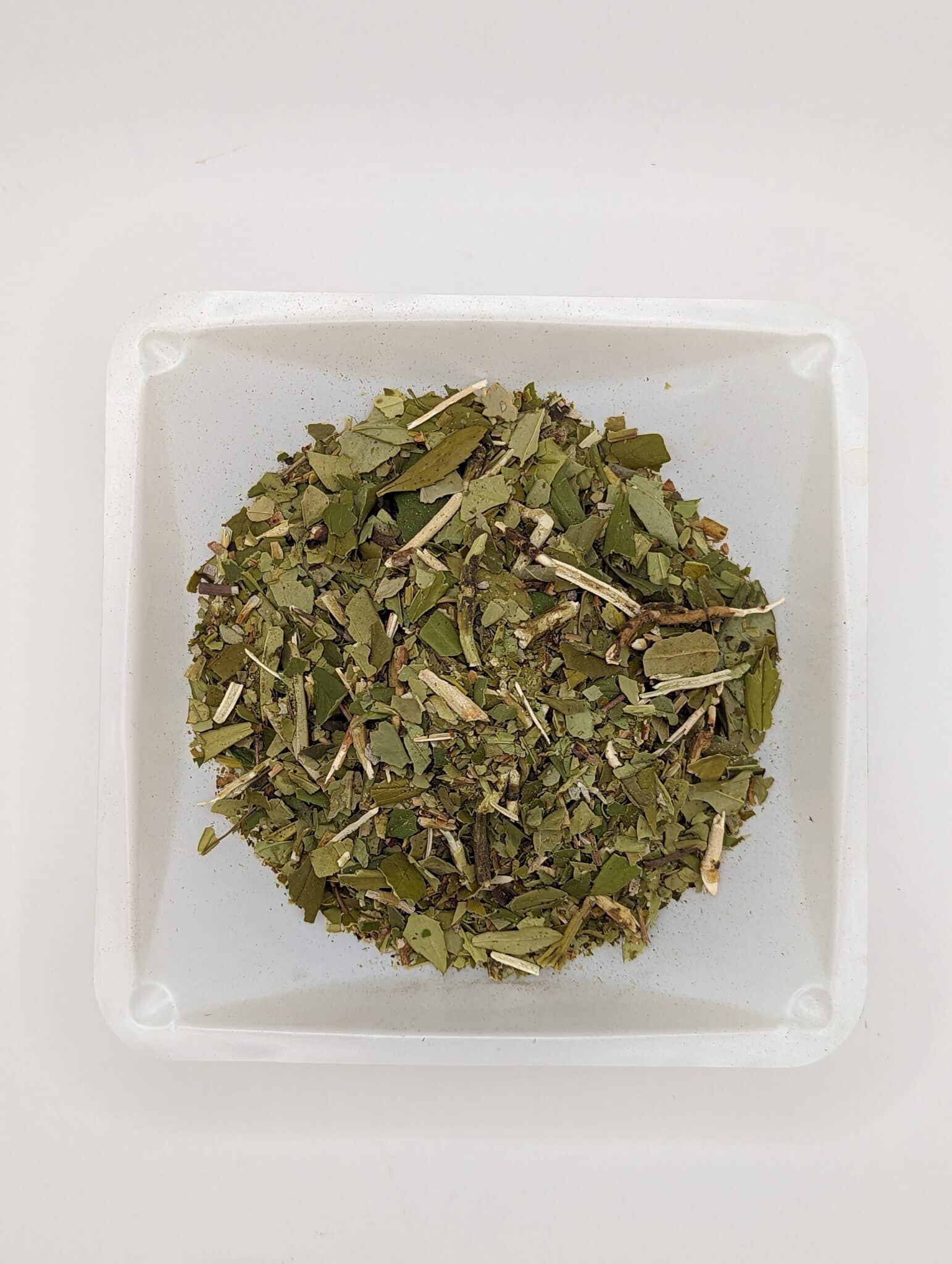 Pipsissewa