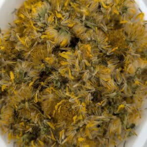 Arnica