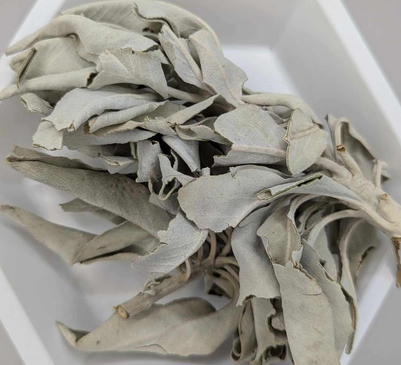 White Sage