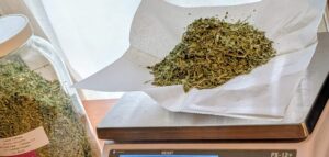 Bulk Herbs
