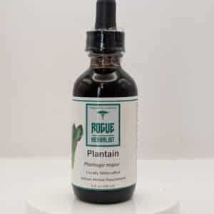 Bottle of Rogue Herbalist Plantain Tincture 2 oz made from fresh broadleaf plantain in 95% cane alcohol