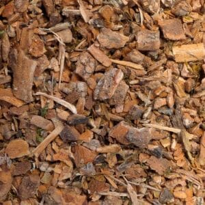 Cramp Bark, Wildcrafted, 1 oz. Bag