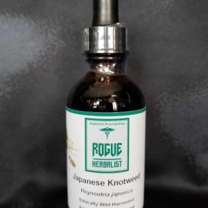 Japanese Knotweed Tincture 2oz.