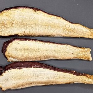 Reishi Slices, Wildcrafted, 1oz. bag