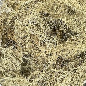 Usnea Lichen, Wildcrafted, 1oz. bag