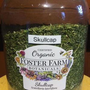 Skullcap herb, Vermont Grown Organic, 1oz. bag
